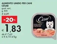 Bennet Cesar alimento umido per cani offerta