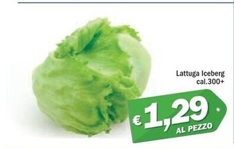 Lattuga iceberg
