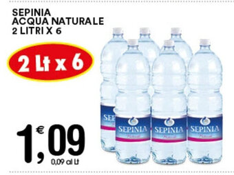 Gecop SEPINIA ACQUA NATURALE 2 LITRI X 6 offerta