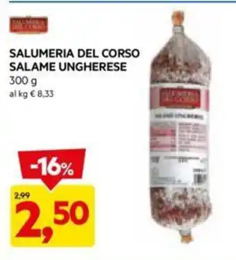 DPiù SALUMERIA DEL CORSO SALAME UNGHERESE 300 g offerta