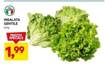 DPiù INSALATA GENTILE al kg offerta