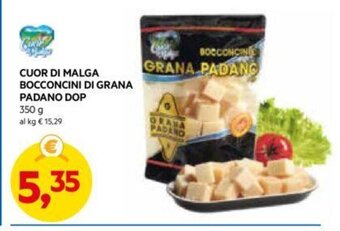 DPiù CUOR DI MALGA BOCCONCINI DI GRANA PADANO DOP 350 g offerta