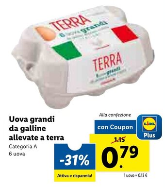 Lidl Uova grandi da galline allevate a terra offerta