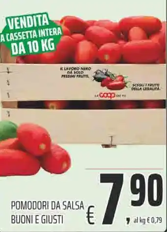 POMODORI DA SALSA BUONI E GIUSTI
