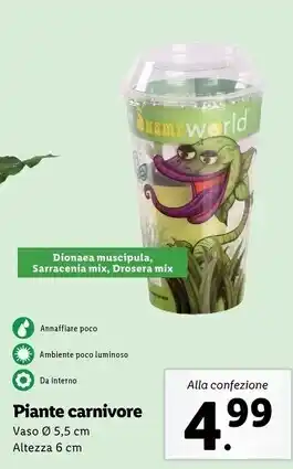 Lidl Piante carnivore offerta