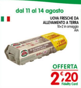 UOVA FRESCHE DA ALLEVAMENTO A TERRA AIA