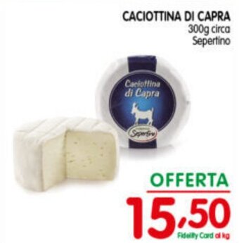 D'Ambros CACIOTTINA DI CAPRA 300g circa Sepertino offerta