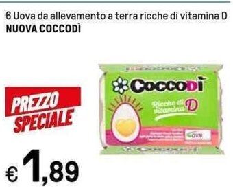 Iper La Grande 6 Uova da allevamento a terra ricche di vitamina D NUOVA COCCODÌ offerta