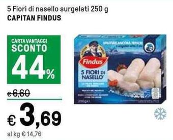 Iper La Grande 5 Fiori di nasello surgelati 250 g CAPITAN FINDUS offerta