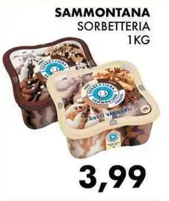 SAMMONTANA SORBETTERIA 1KG