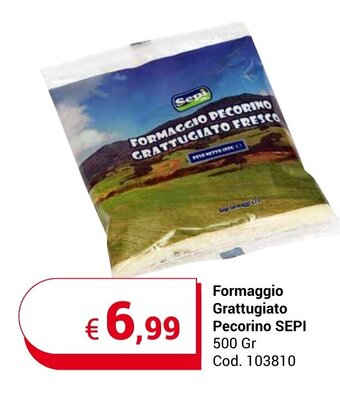 Centro Cash Formaggio Grattugiato Pecorino SEPI 500 Gr offerta