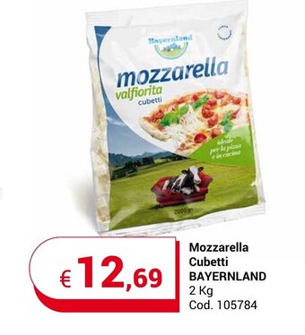 Centro Cash Mozzarella Cubetti BAYERNLAND 2 kg offerta