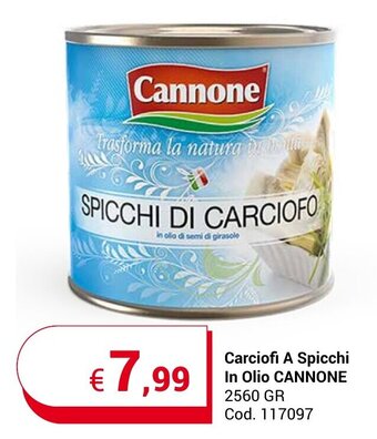 Centro Cash Carciofi A Spicchi In Olio CANNONE 2560 GR offerta