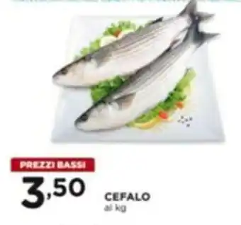 CEFALO