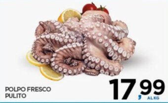 Interspar POLPO FRESCO PULITO offerta