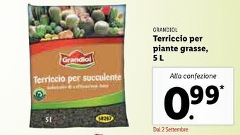 Lidl Grandiol Terriccio per piante grasse, 5l offerta