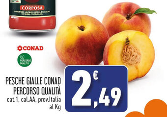 Conad Superstore PESCHE GIALLE CONAD PERCORSO QUALITÀ offerta