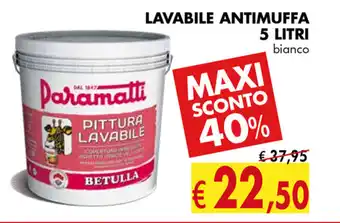 Lavabile Antimuffa 5 litri