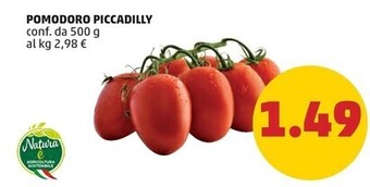 PENNY Pomodoro piccadilly offerta