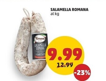 PENNY Fiorucci salamella romana offerta