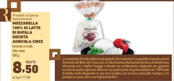 Spazio Conad MOZZARELLA 100% DI LATTE DI BUFALA SOCIETÀ AGRICOLA CIRCE 500 g offerta