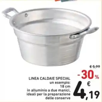 Spazio Conad LINEA CALDAIE SPECIAL 18 cm offerta