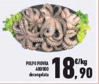 Conad POLPO PIOVRA 400/800 decongelata offerta