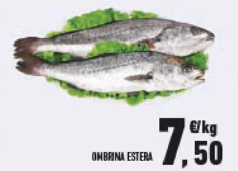 Conad OMBRINA ESTERA offerta