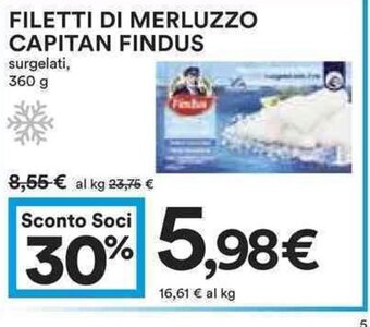 Coop FILETTI DI MERLUZZO CAPITAN FINDUS surgelati, 360 g offerta