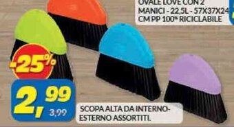 Risparmio Casa SCOPA ALTA DA INTERNO- ESTERNO ASSORTITI offerta