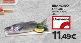 Coop BRANZINO ORIGINE allevato in Italia, al kg offerta