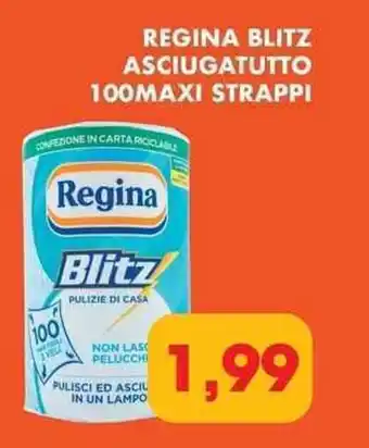 REGINA BLITZ ASCIUGATUTTO 100MAXI STRAPPI
