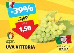 ALDI I colori del sapore uva vittoria offerta