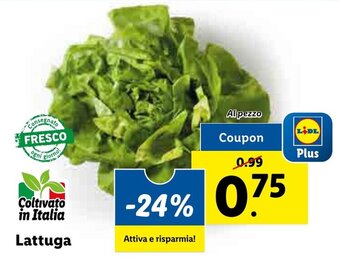 Lidl Lattuga offerta