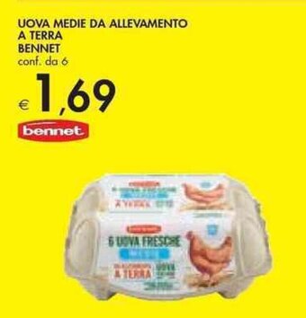 UOVA MEDIE DA ALLEVAMENTO A TERRA BENNET conf. da 6