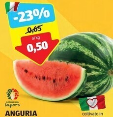 ALDI I colori del sapore anguria offerta