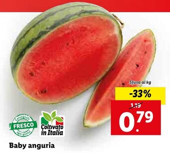 Lidl Baby anguria offerta