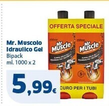 Sigma Mr muscle idraulico gel offerta