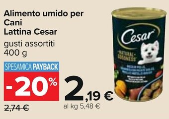 Carrefour Alimento umido per Cani Lattina Cesar gusti assortiti 400 g offerta