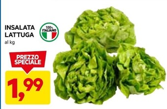 DPiù Insalata lattuga offerta