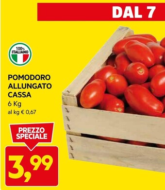 Pomodoro allungato cassa