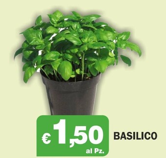 Primo Prezzo Basilico offerta