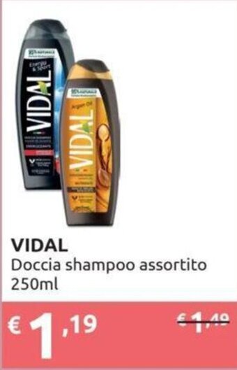 Ipersoap VIDAL Doccia shampoo assortito 250ml offerta