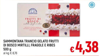 A&O SAMMONTANA TRANCIO GELATO FRUTTI DI BOSCO MIRTILLI, FRAGOLE E RIBES 500 g offerta