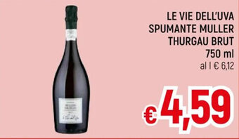 A&O LE VIE DELL'UVA SPUMANTE MULLER THURGAU BRUT 750 ml offerta
