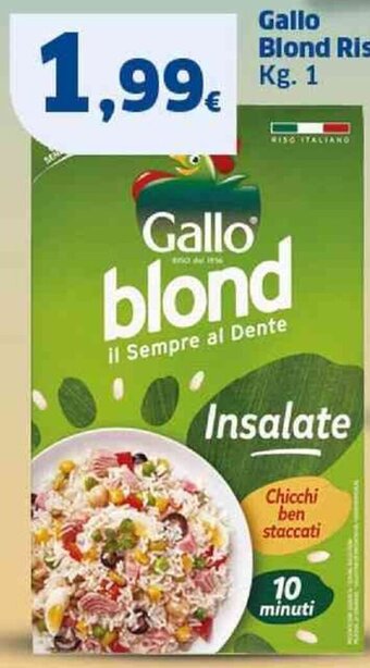 Sigma Gallo Blond Riso Insalate Kg. 1 offerta