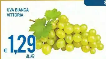 MD Discount Vittoria Uva Bianca offerta