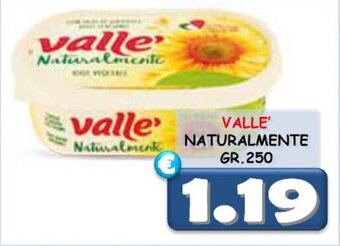 VALLE' NATURALMENTE GR. 250