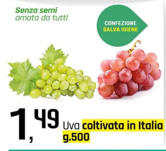 Famila Superstore Uva coltivata in Italia g.500 offerta