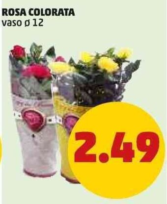 PENNY ROSA COLORATA vaso ø 12 offerta